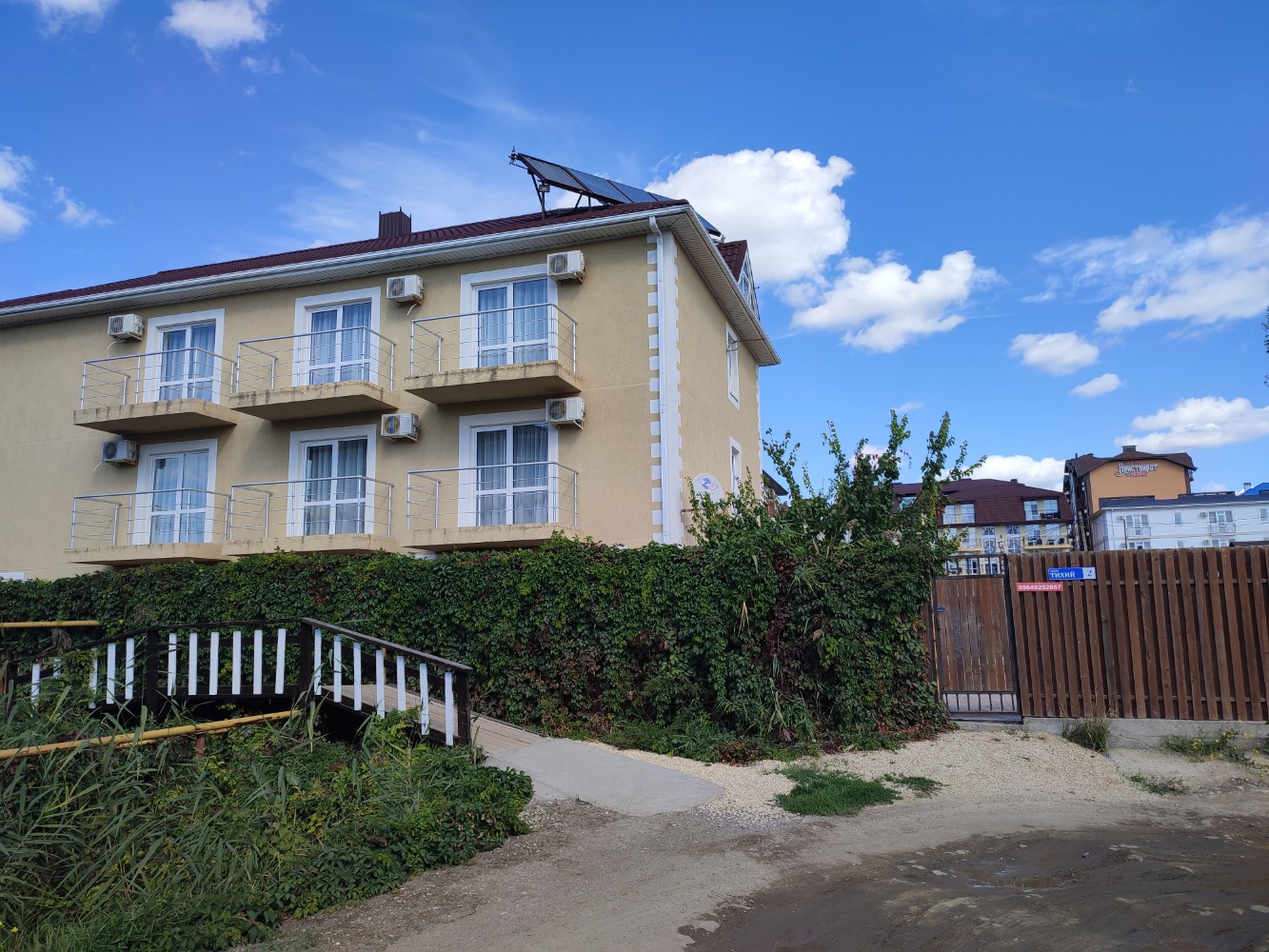 Фото Солнечная орхидея