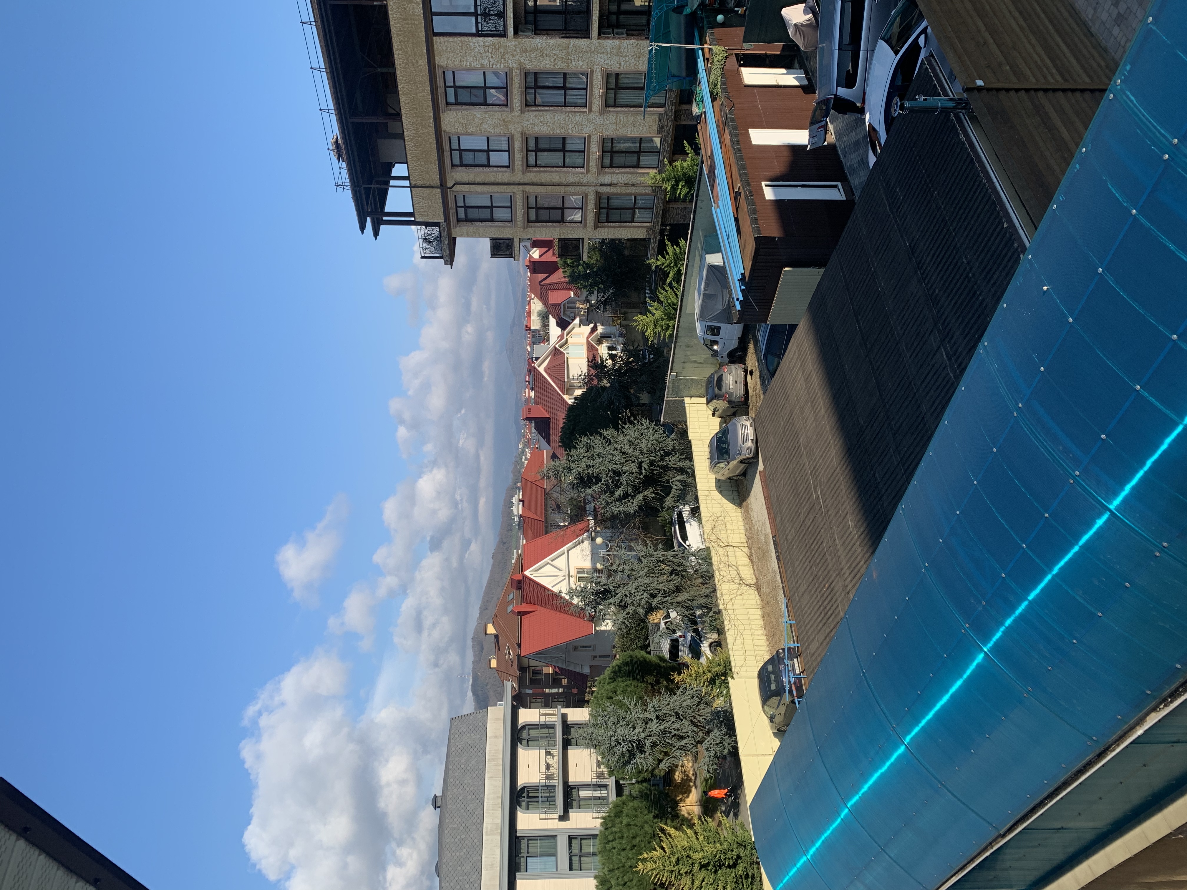 Фото Колибри