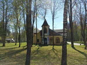 Усадьба Друцких-Любецких (посёлок Новое Поле, Студенческая ул., 1, корп. 2), достопримечательность в Минской области