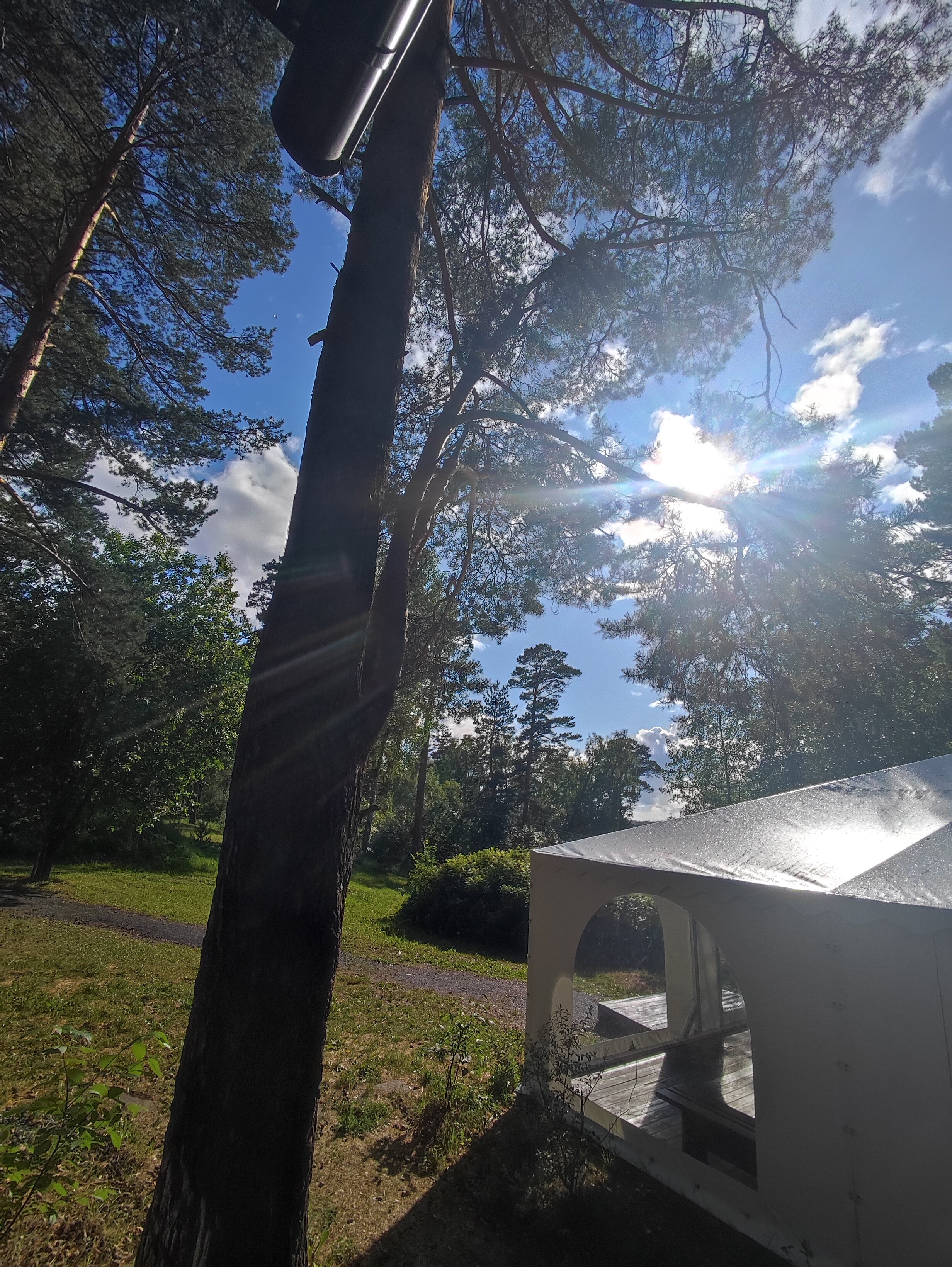 Фото Академия