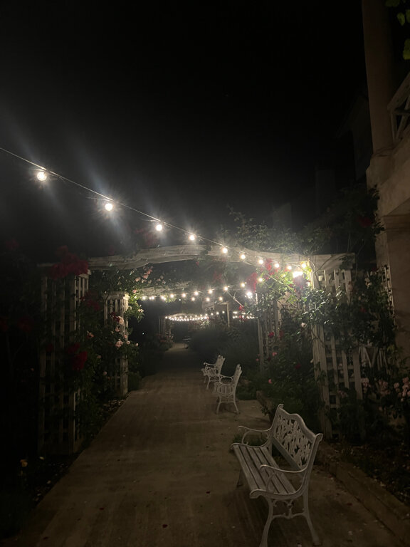 Фото Александрия