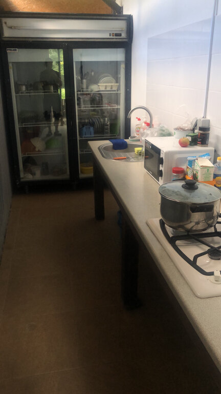 Фото Старый Ясень