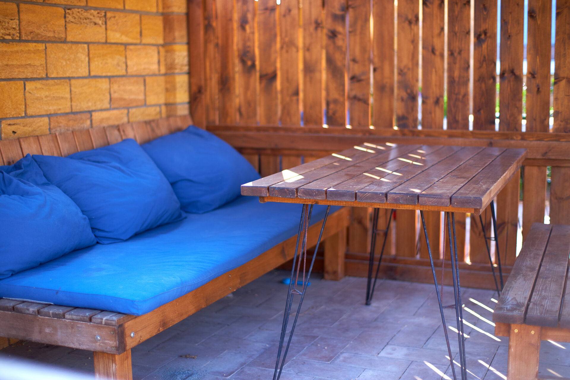 Фото Аммонит