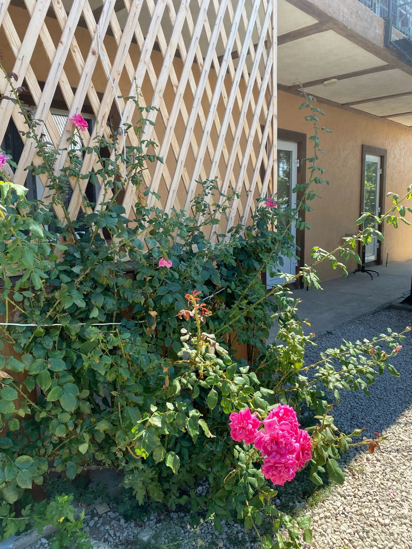 Фото Любимое место