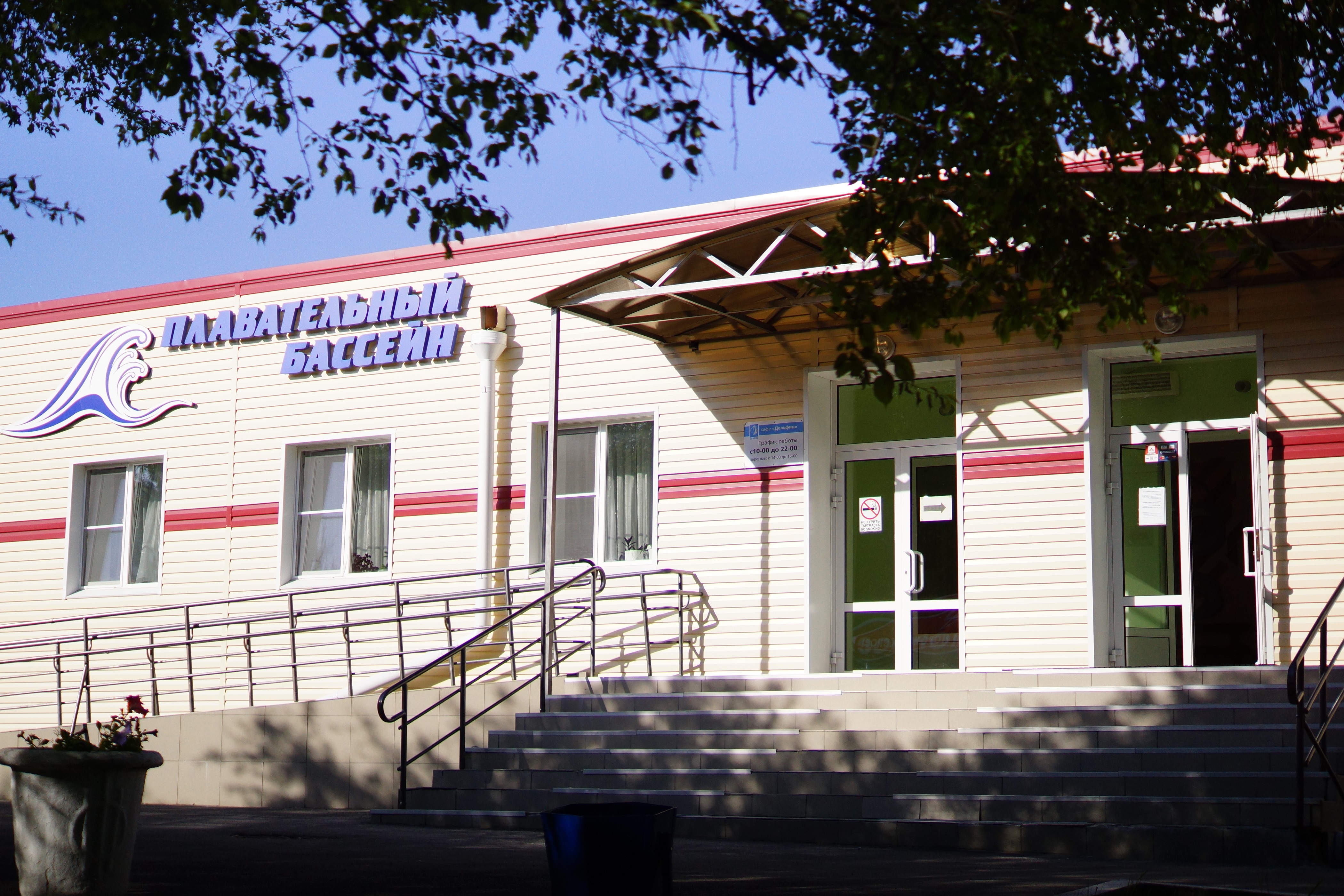 Фото Берёзки