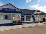 Avtovokzal Borodino (ulitsa Lenina, 27), bus station