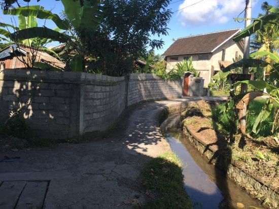 Фото Sujaya Villas