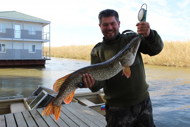 Фото Пиранья Дельта