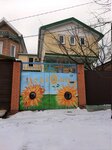 Sunflower (Varfolomeeva Street, 59), hotel