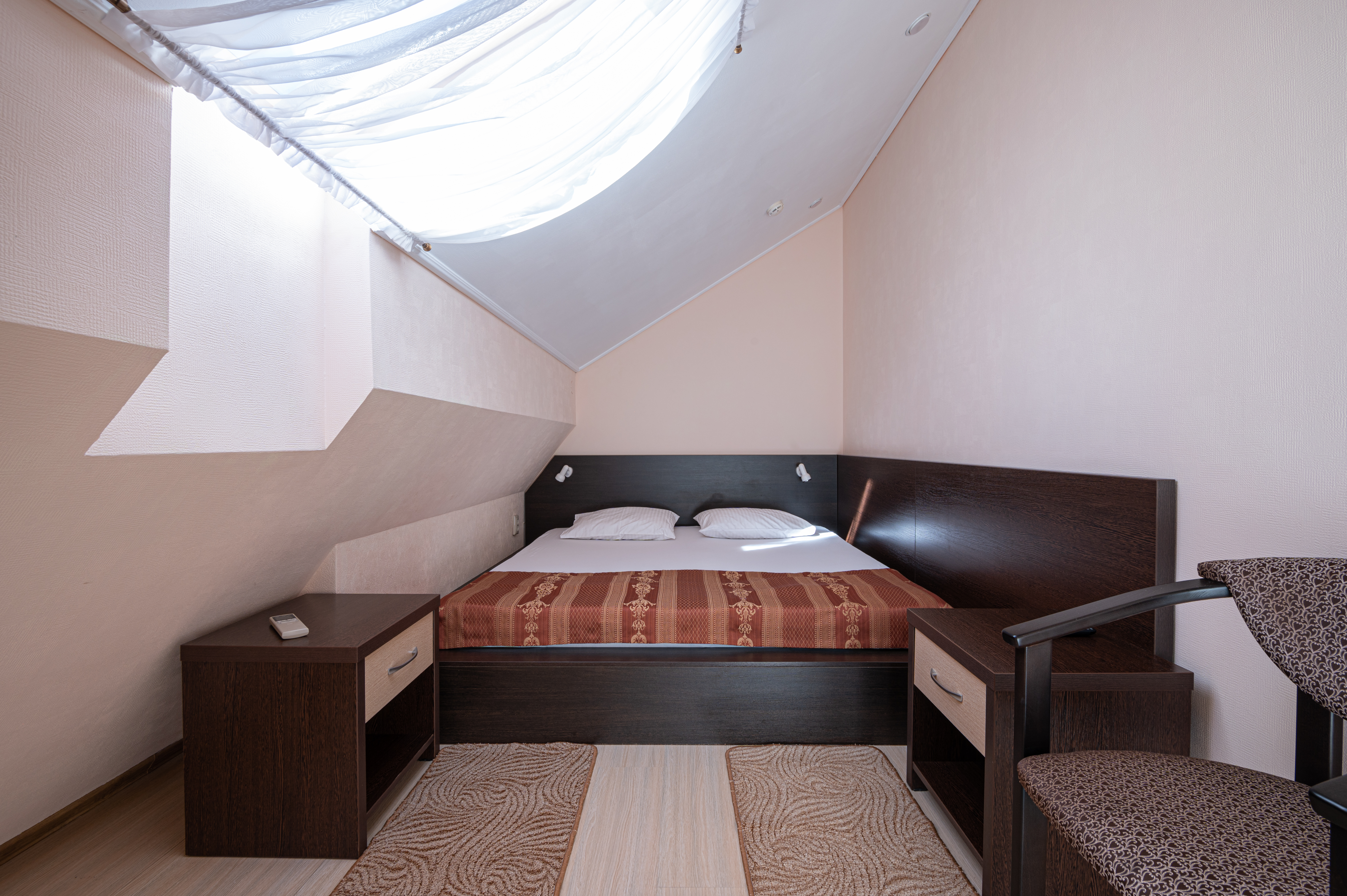 Фото Фламинго