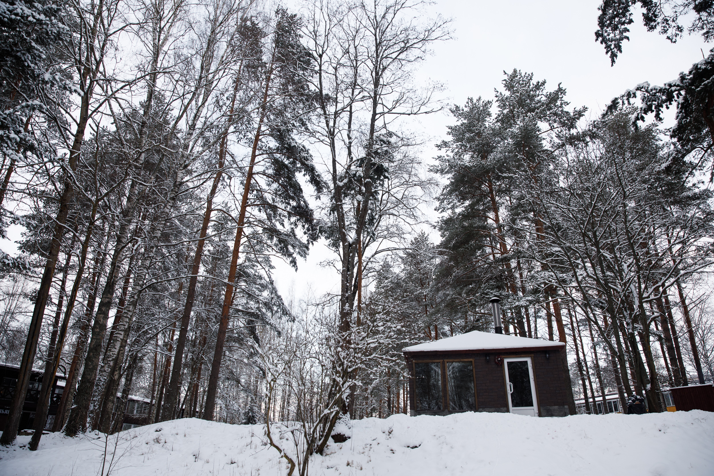 Фото Лосево Парк