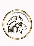 Зооветцентр Балто