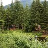 Mount Hood Village Premium Yurt 2