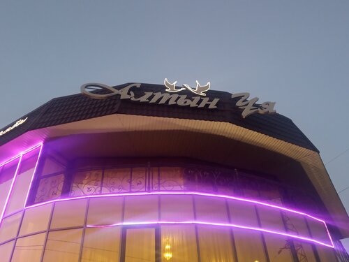 Үйсіз жігітті былдырды