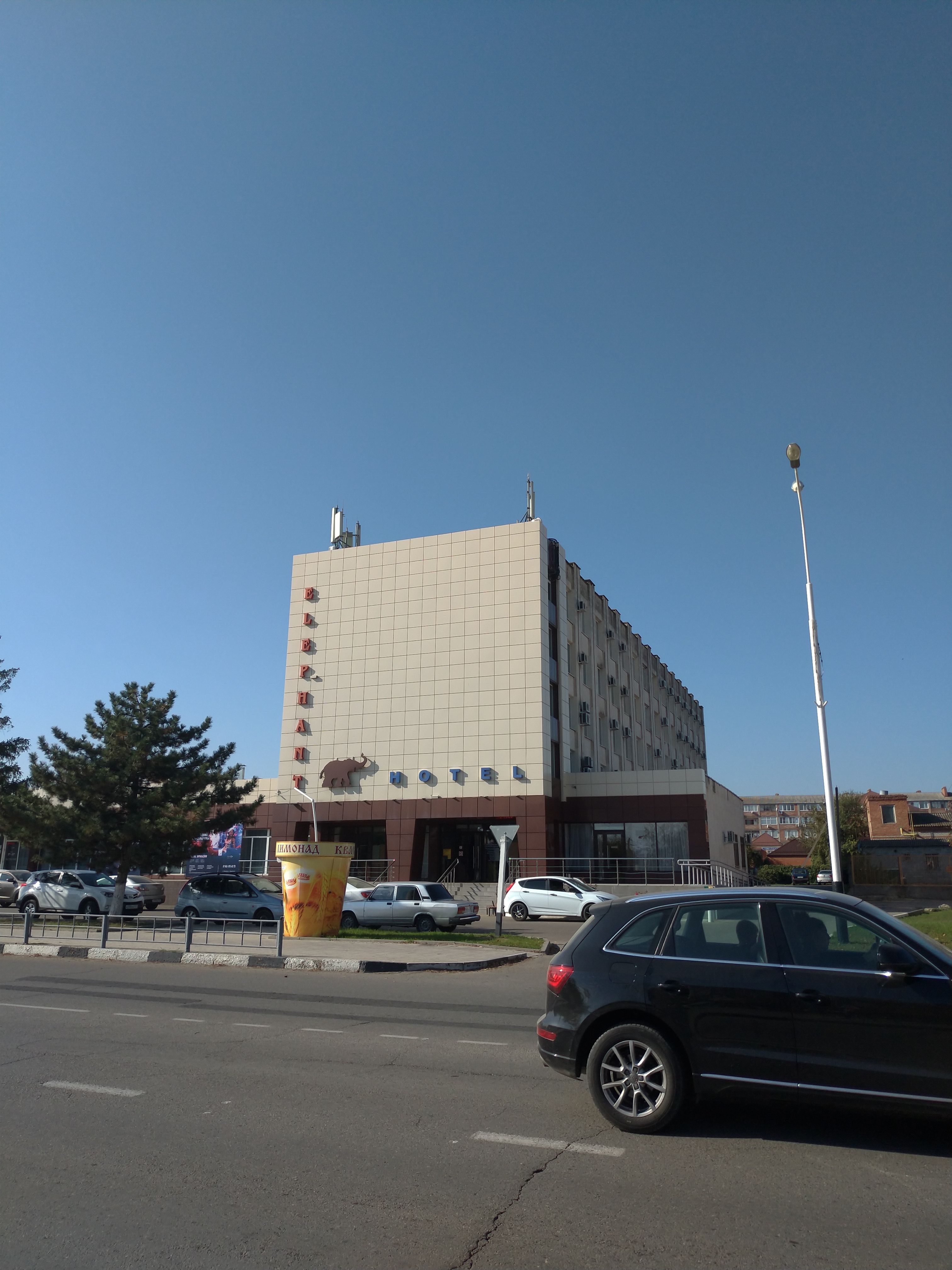 Фото Элефант