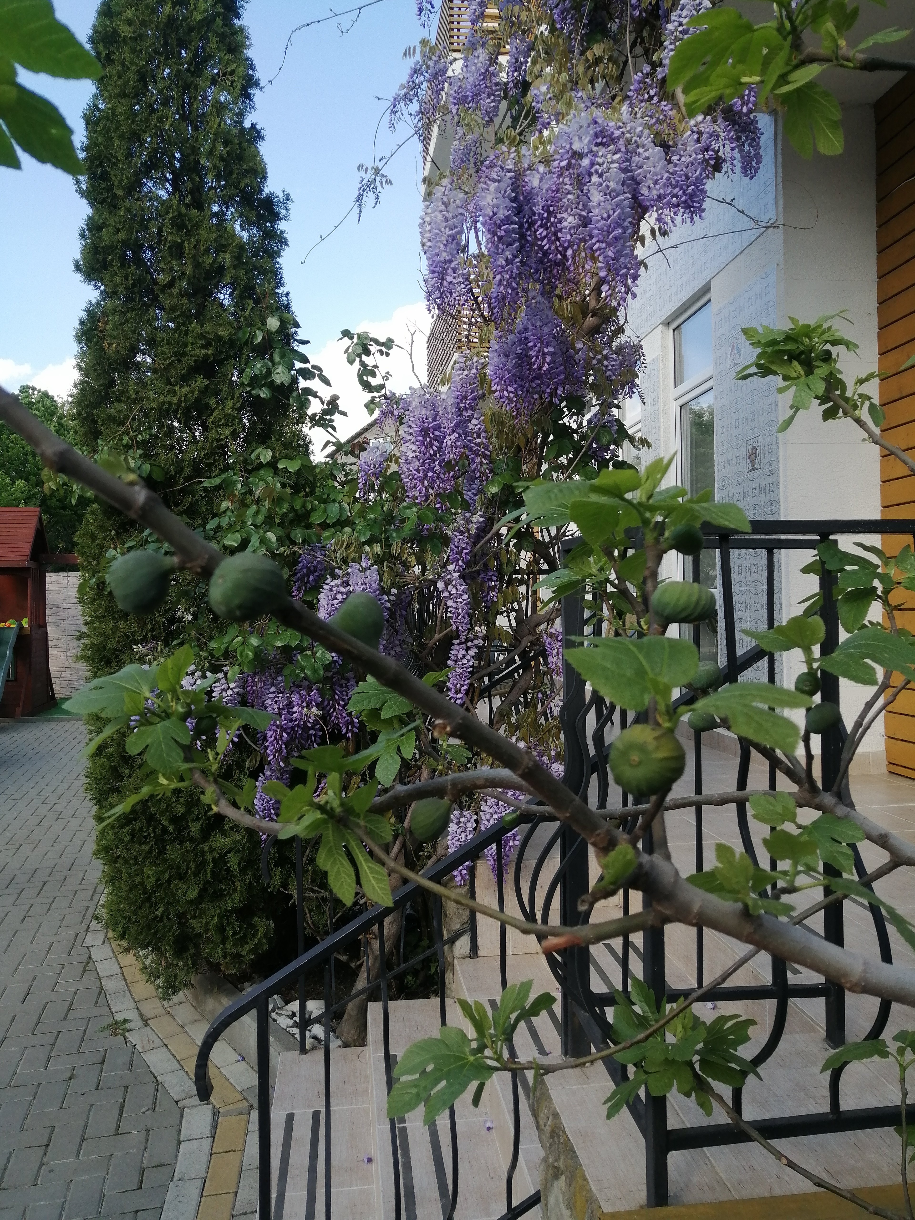 Фото Дольче Вита