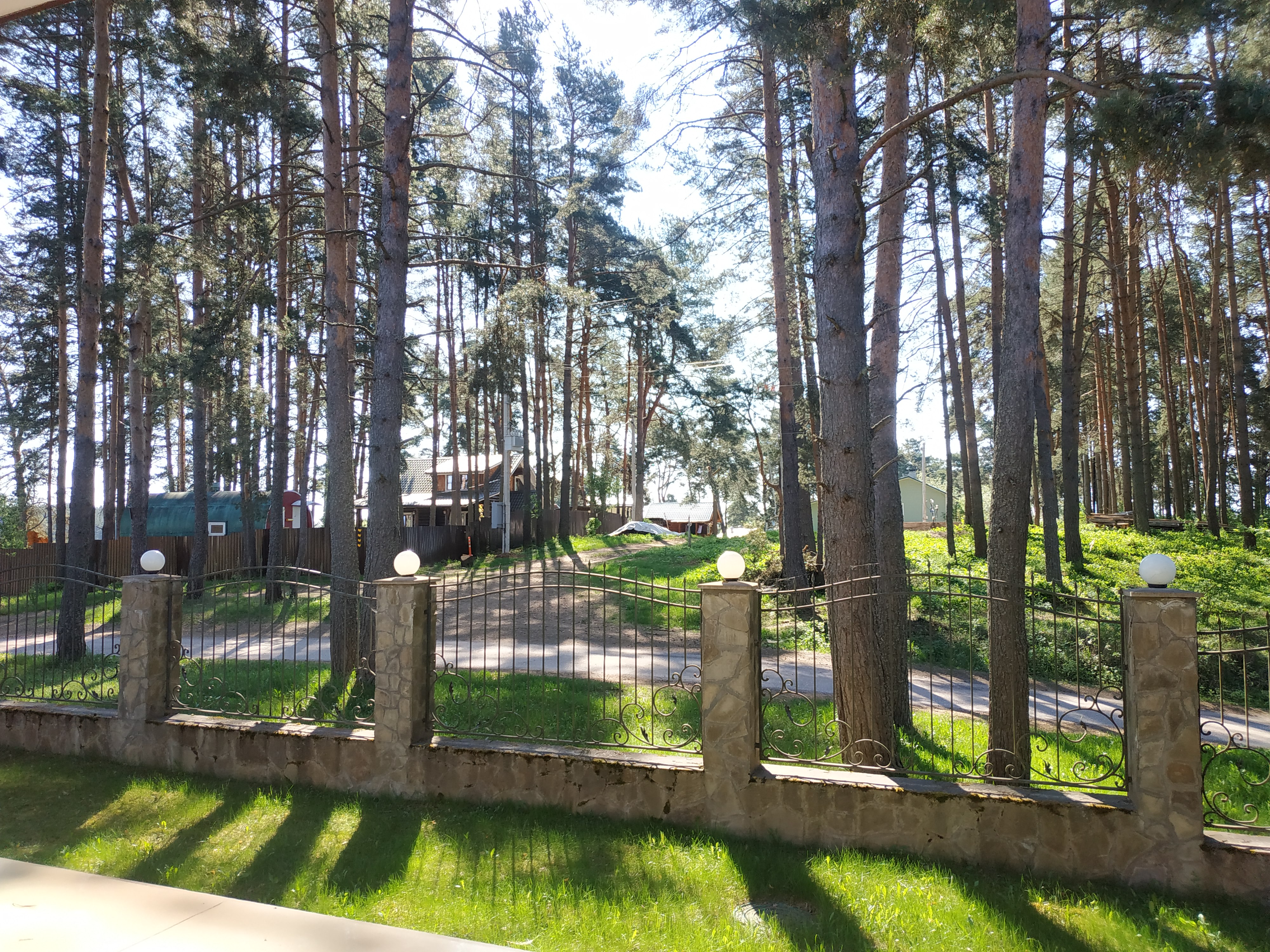 Фото Светлица