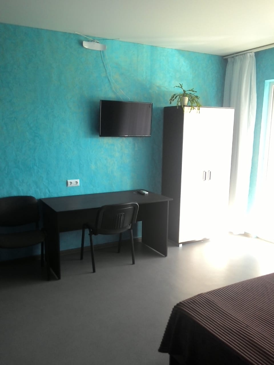 Фото Шардоне