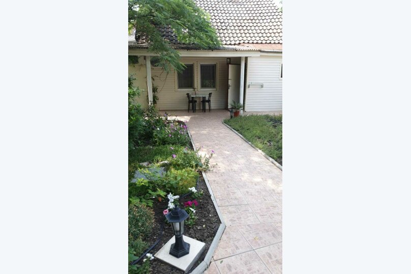 Фото Орхидея