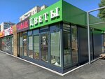 Tsvety (Salmyshskaya street, 7с3) ، محل زهور