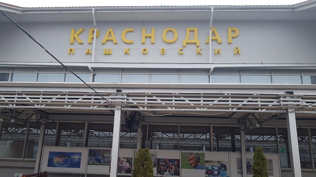 Фольксваген аэропорт краснодар