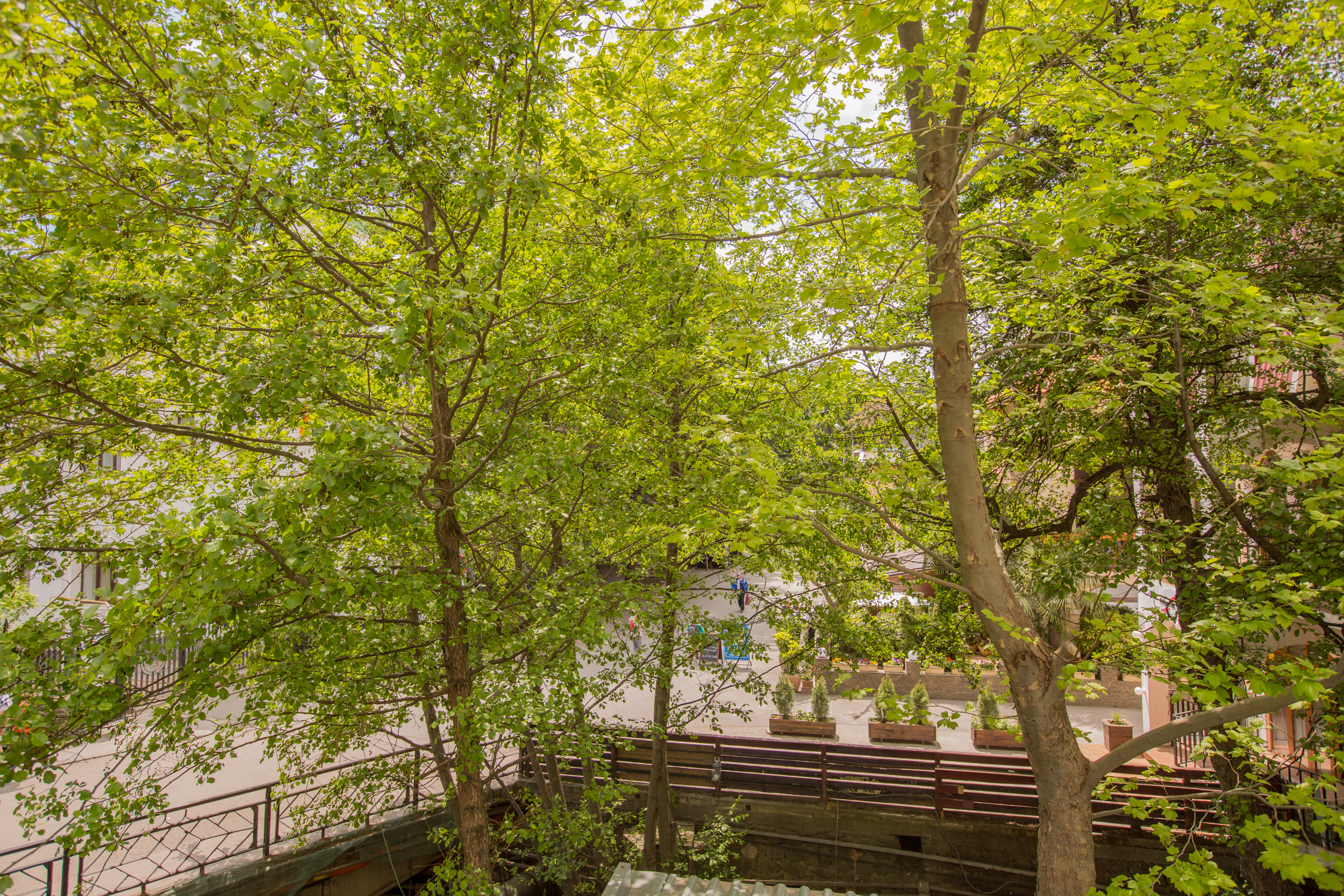 Фото Восторг