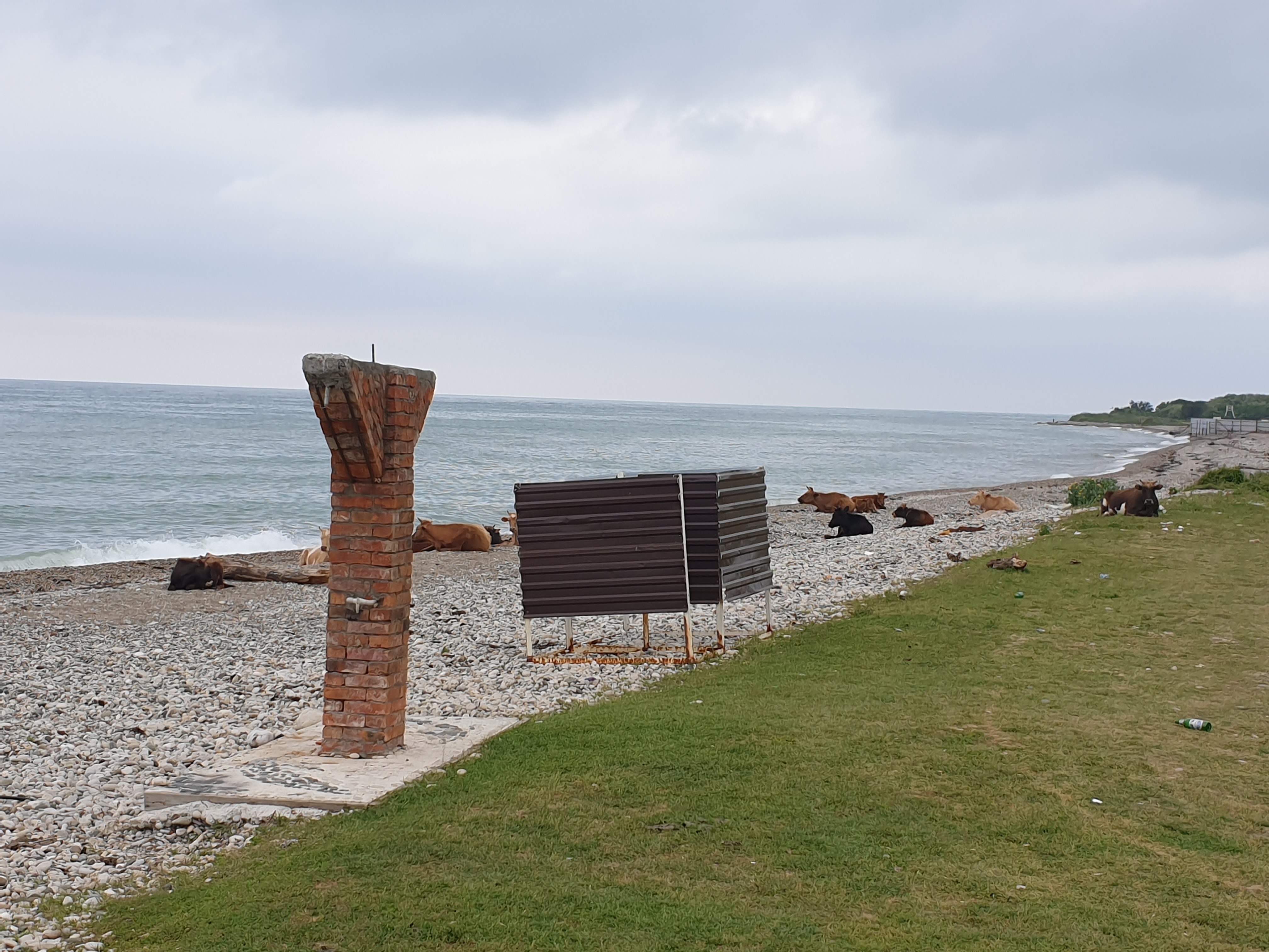 Фото Бассейн