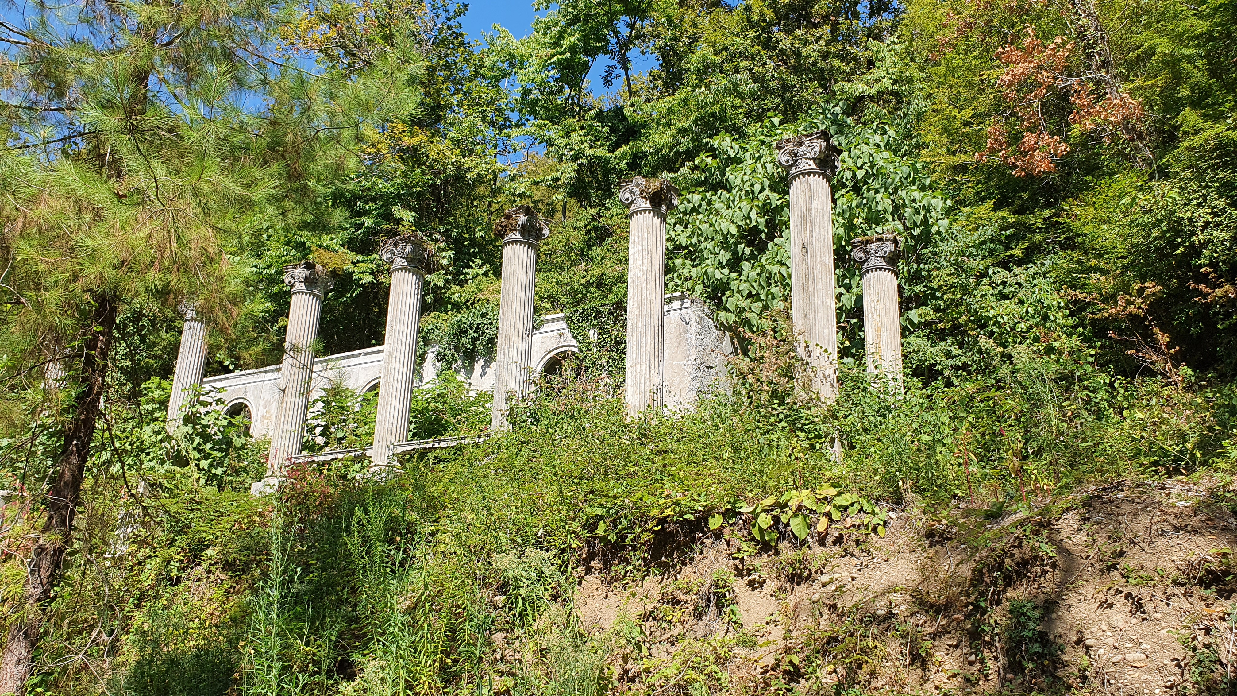 Фото Пансионат Мюссера им. Н. Лакоба