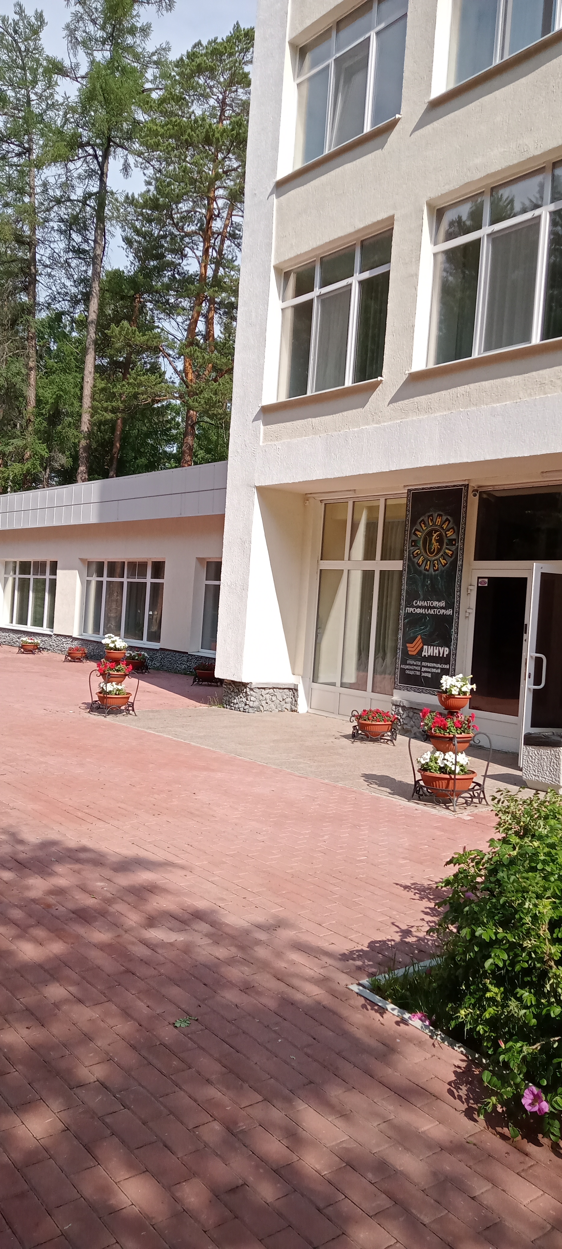 Фото Лесная сказка