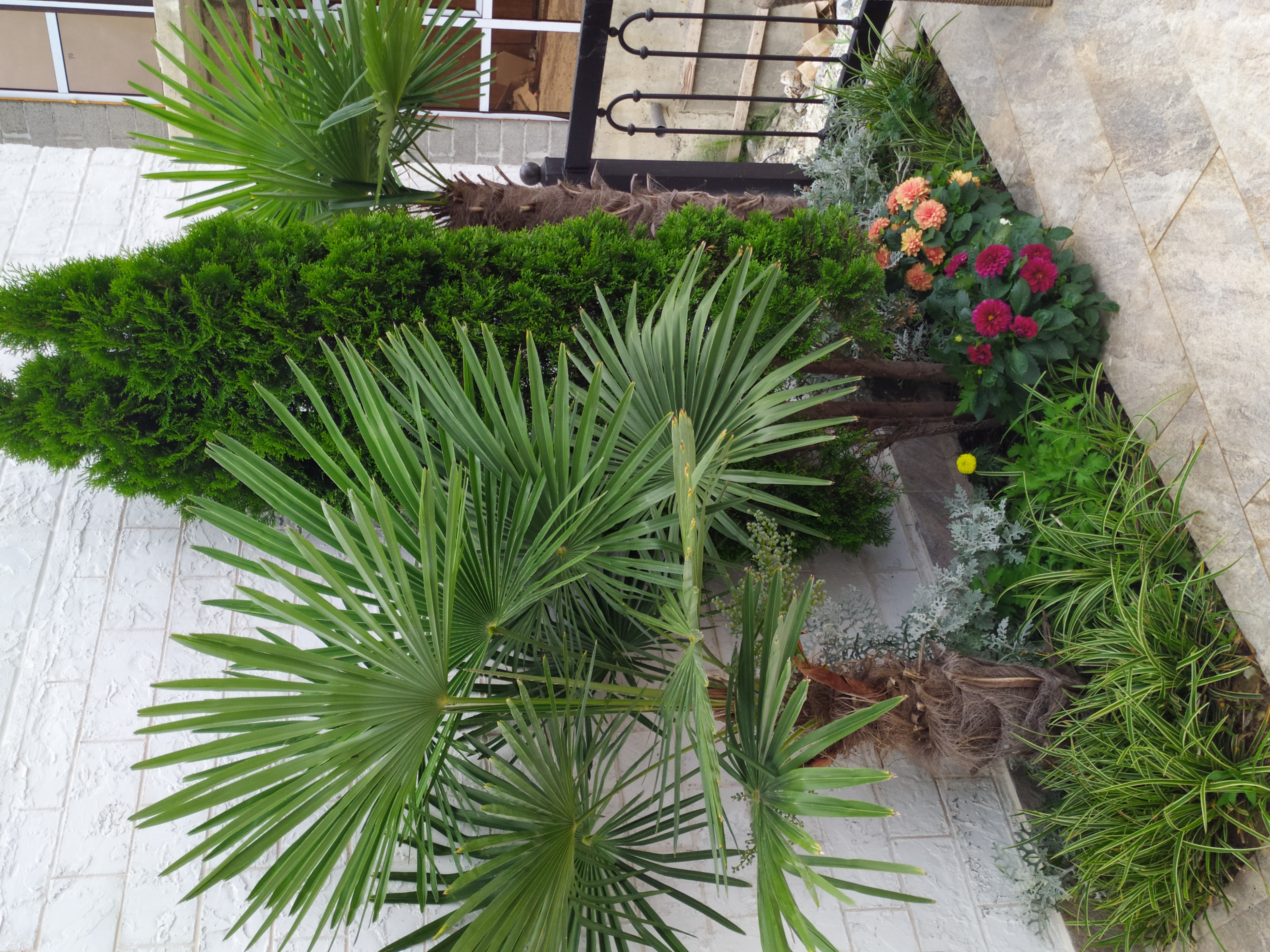 Фото Лооfкий