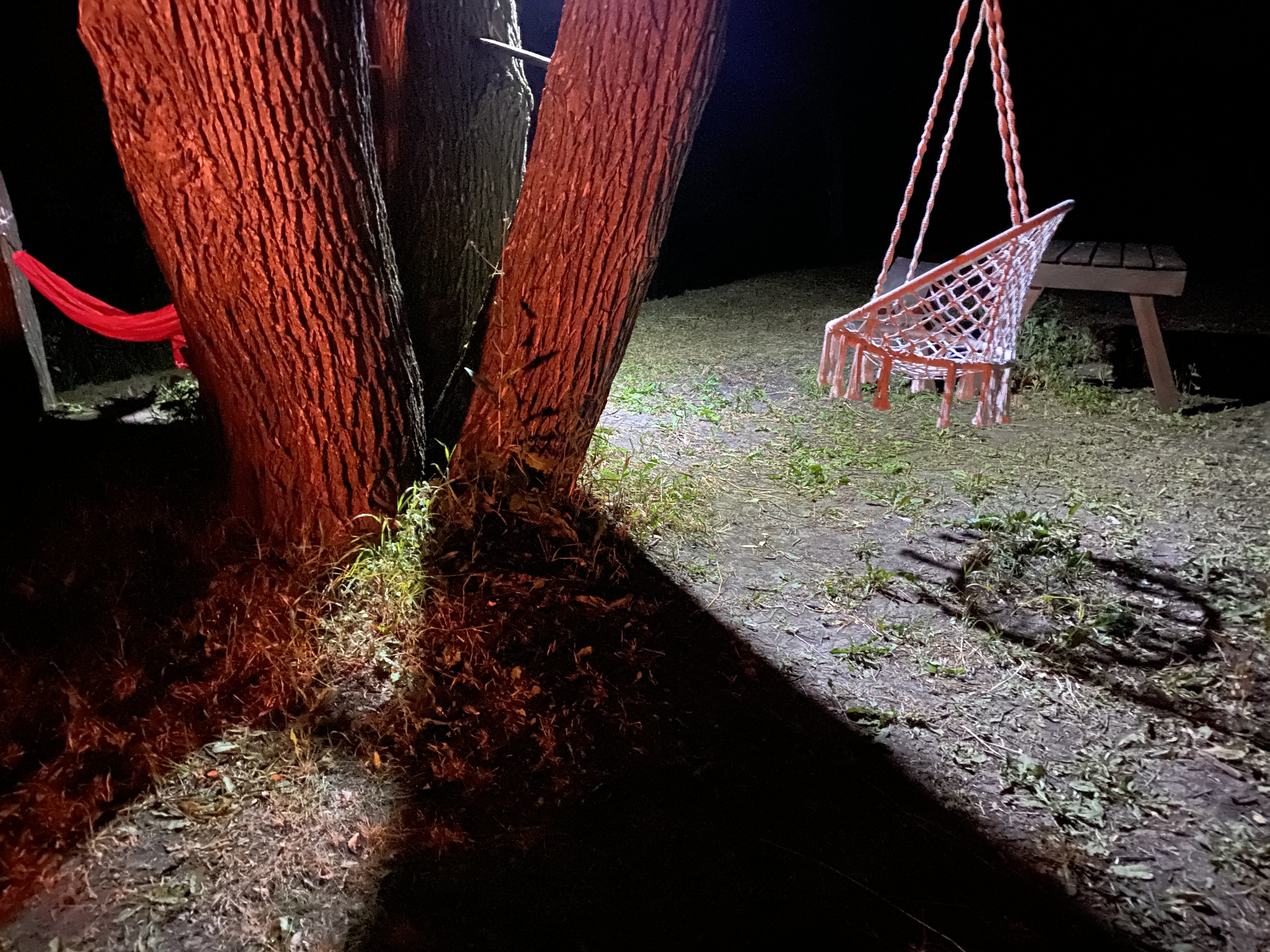 Фото Familyglamp Куликово поле