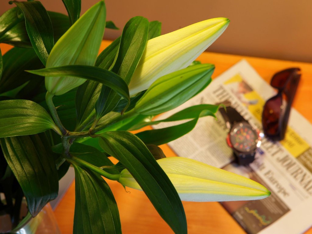 Фото Hotel Attica 21 Barcelona Mar