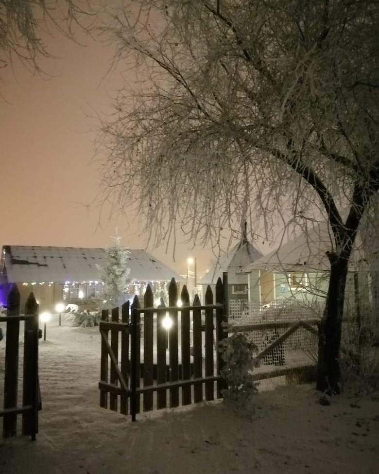 Фото Форест Гриль