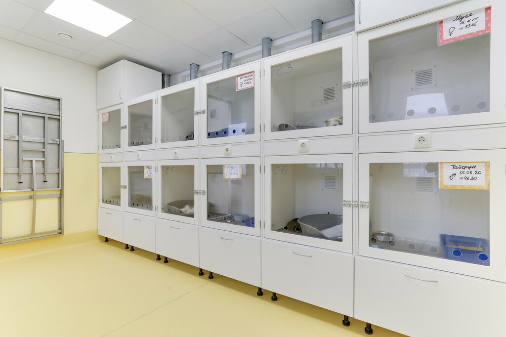 Фотографии УЛ РЕСПУБЛИКАНСКАЯ БОЛЬНИЦА 35