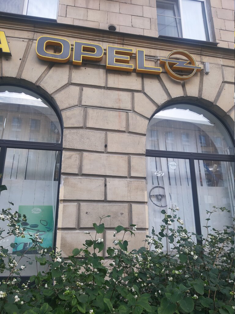 Формула опель новикова 41