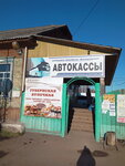 Kuragino Otogarı (posyolok gorodskogo tipa Kuragino, Traktovaya ulitsa, 24), bus station