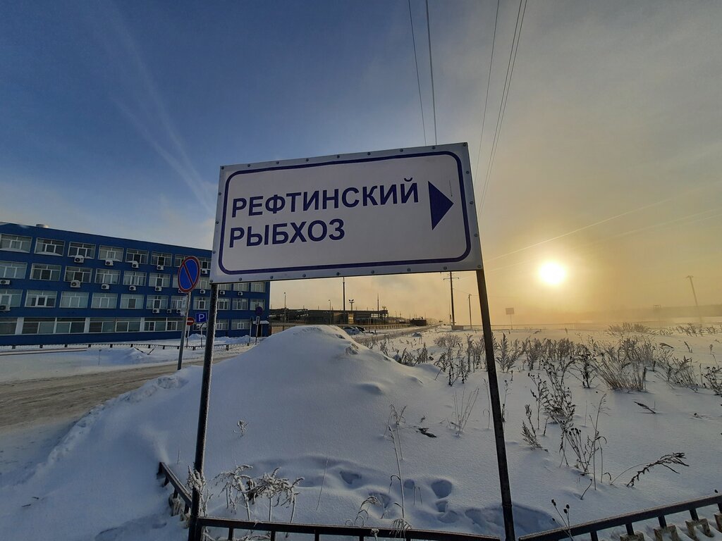 Рыбное хозяйство, рыбоводство Рефтинский рыбхоз, Свердловская область, фото