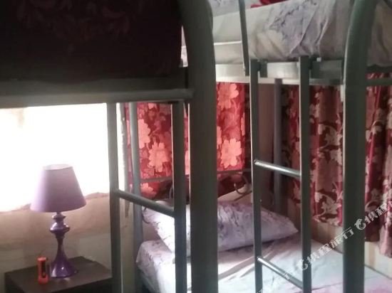 Фото Danee Hostel