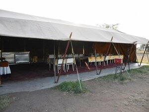 База Отдыха Serengeti Wild Camp