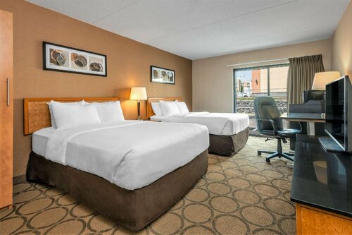 Гостиница Comfort Inn South