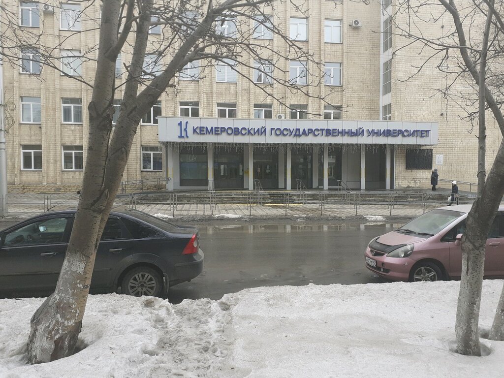 Лада поликарпова кемгу