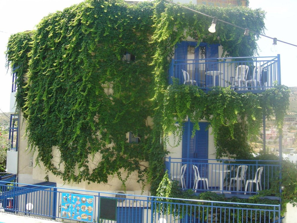 Фото Amazona Apartments