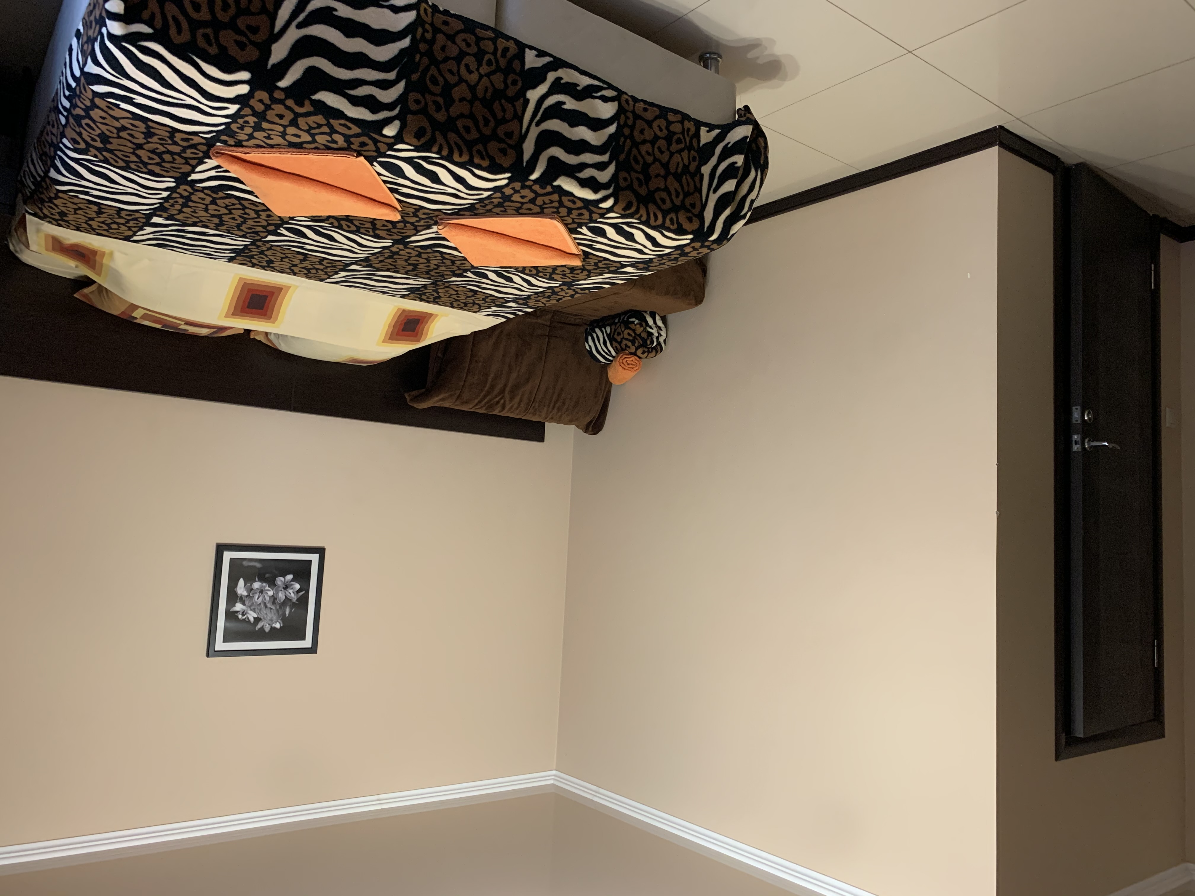 Фото Приветливый