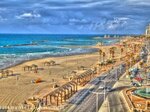 Plaza Beach Hotel Tel Aviv (Allenby Street, 6), short-term housing rental