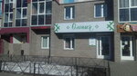 Oloniya (ulitsa Entuziastov, 17), grocery