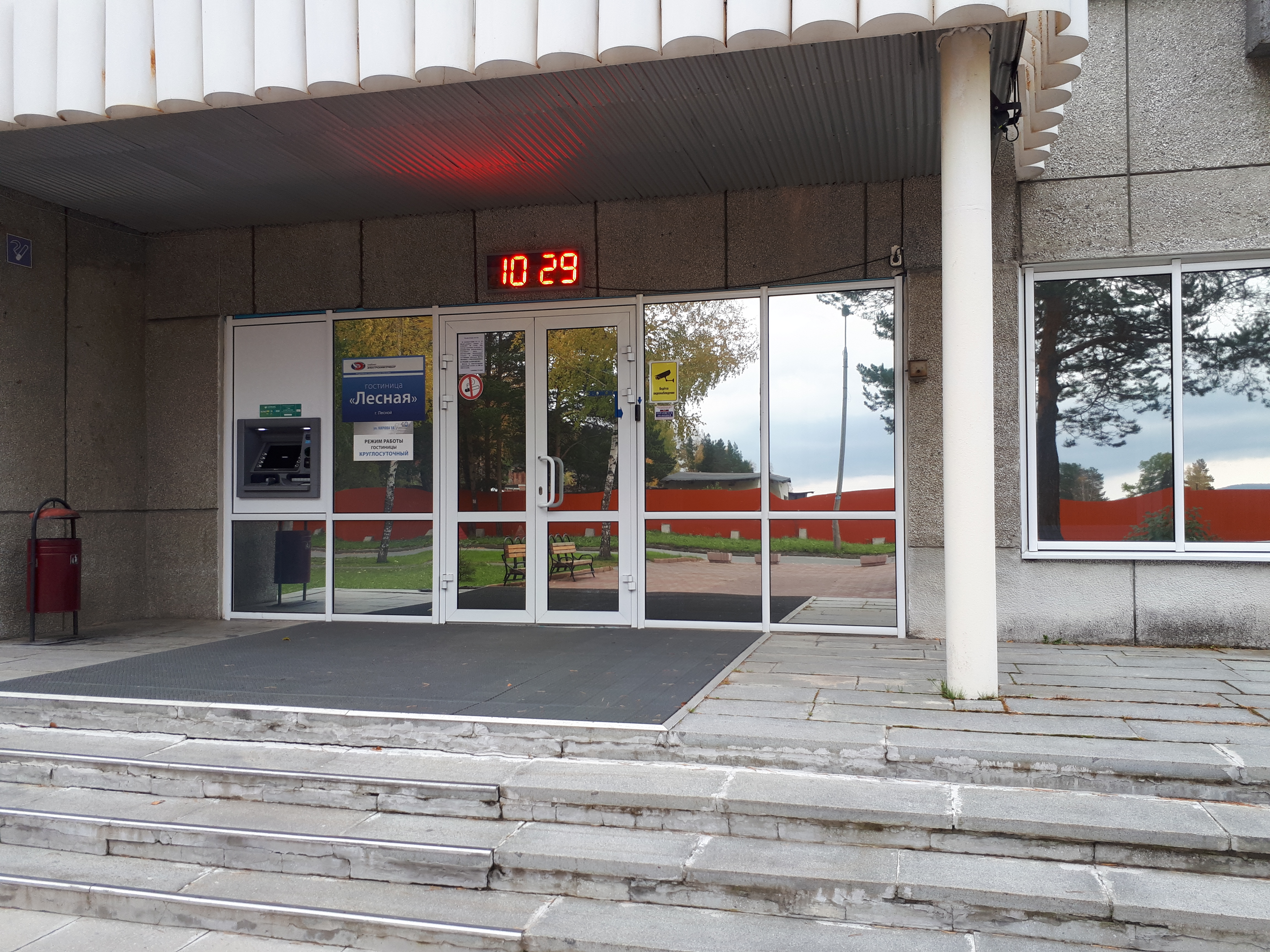 Фото Лесная