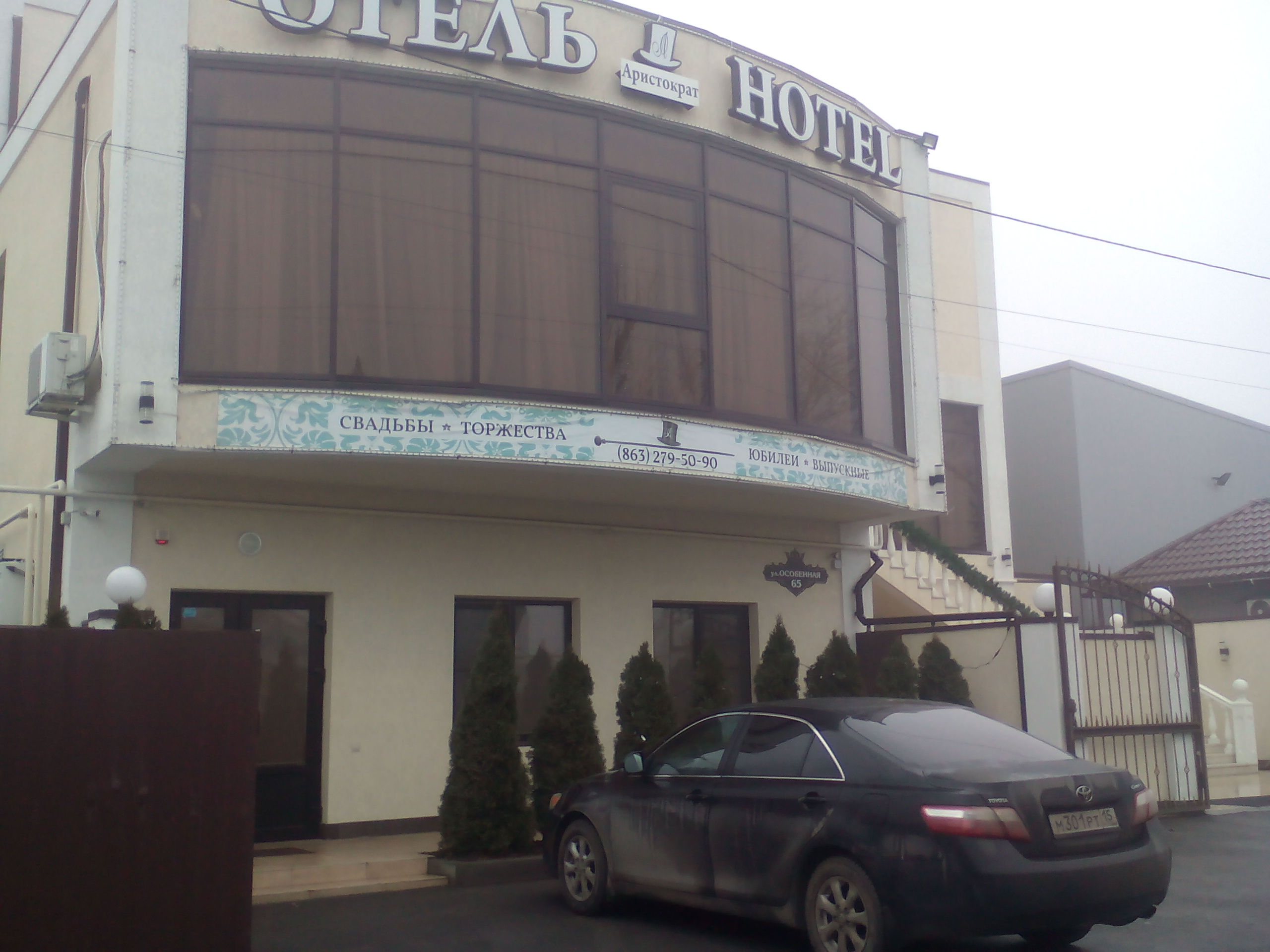 Фото Аристократ