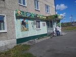 Беркут (ulitsa Lermontova, 23), sports store