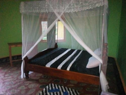 Hotel Paradise Eco-Hub, Earth, photo