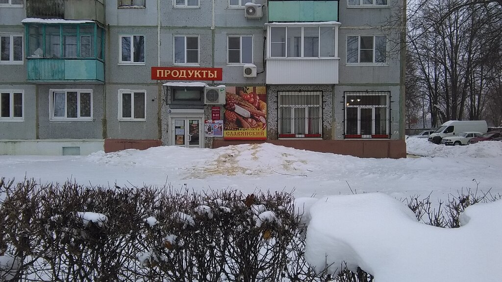 Grocery Magazin Slavyansky, Novomoskovsk, photo